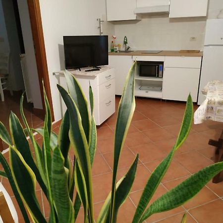 Gemini Appartamenti Grosseto Exteriér fotografie