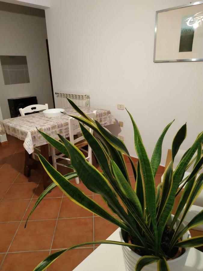 Gemini Appartamenti Grosseto Exteriér fotografie