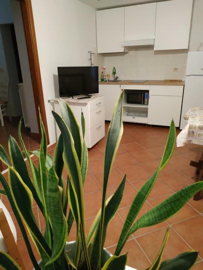 Gemini Appartamenti Grosseto Exteriér fotografie